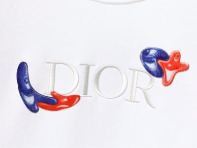 wholesale quality dior hoodies model no. 18