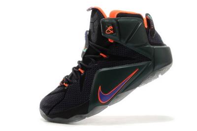 Cheap LeBrone James XII basketball shoes wholesale No. 496