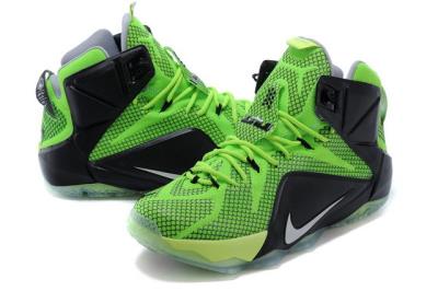 Cheap LeBrone James XII basketball shoes wholesale No. 576