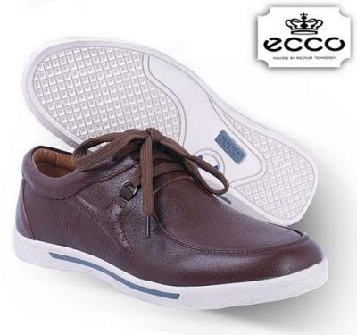 ECCO-1