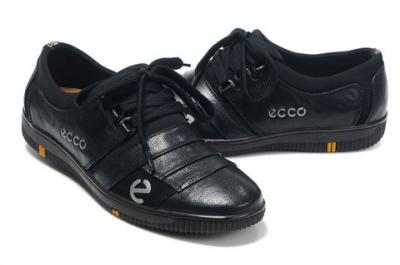 ECCO-9