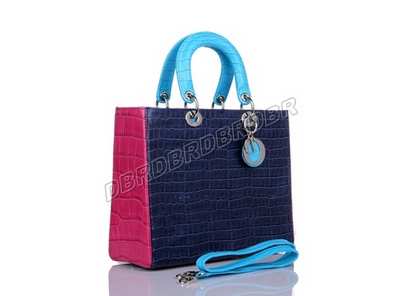 Christian Dior Handbag-6323pinsE_357